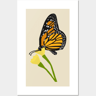 Monarch Butterfly Posters and Art